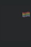 LGBTQ Notizbuch (liniert) Rainbow Flagge: Gay Pride Month CSD
