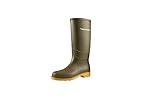 Dunlop Protective Footwear, 16247, Dulls, Olivgrün, Größe 39 EU