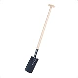Rekord Damenspaten (Stahl, pulverbeschichtet) mit 85 cm T-Stiel aus Buchenholz, Arbeitsbreite 16 cm, Gewicht 1,6 kg, Gärtnerspaten, für leichtes Umgraben von schweren Böden