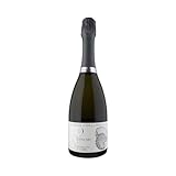 CANTINA COLLI EUGANEI Italienischer Schaumwein Prosecco extra trocken mit kontrollierter D.O. CANTINA COLLI EUGANEI Flasche 75 cl. 4er Pack