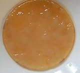 Bio-Kombucha Scoby, verschiedene Größen