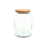 Halboffene Terrarium Flasche Glas 5L Pflanzen Deko Gewächs Haus Blumen Kork Haus