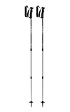 LEKI Unisex-Adult TR Voyager Poles, Silvergray-White, 110-145cm