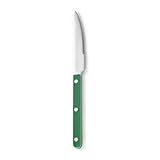 Namzi Nietzangengriff für Küche, Edelstahl-Besteck, Steakbesteck, Westerngeschirr, Grün, 4 Stück