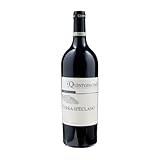 Quintodecimo Terra D'Eclano 2022, kampanischer Rotwein, DOC Irpinia Aglianico Wein, 14% vol, 750 ml, hergestellt in Italien