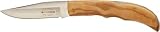 F.Dick Qualitäts Taschenmesser Traditionsmarke DICK mit Olivenholzgriff Klinge 9cm