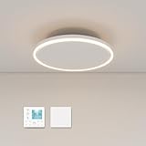 Infrarotheizung Deckenmontage 790 Watt, Infrarot Deckenheizung mit LED Beleuchtung Licht, Heizstrahler Decke mit Thermostat Fernbedienung, Elektroheizung Heizplatte Heizpaneel Heizkörper