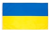 Aricona Ukraine Flagge 90x150cm - wetterbeständige Fahne mit Messingösen, 100% Polyester, robuste Doppelnaht & in lebendigen Farben - ideal für Flaggen-Liebhaber, Ukrainer & Freunde