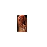 BodyBonita 6 Pcs Ohrringe Silber 925 Set für Damen 14 Karat Vergoldet Kleine Ohrstecker Stapelbar Zirkonia Creolen für Mehrere Piercings