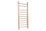 PTC SPORT Sprossenwand aus Buche für Physiotherapie, Gymnastik und Fitness - Verwendung in Heimen, Fitnessstudios, Kliniken, Schulen oder Fitnesscentern - 195 x 80 cm