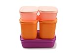 TUPPERWARE Gefrier-Behälter 1 L + 1,1L (2) + 450 ml (2) Eis-Kristall Eiskristall