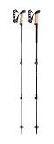 LEKI Black Series Carbon Stöcke, Black-Black Gray-dk Anthracite, 100-135cm