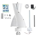 Windkraftanlage, 100W Vertikale Windgenerator mit Steuergerät, 2-Blatt-Windkraftgenerator, Windgeschwindigkeit 13m/s, Geräuscharmer, für Haus, Geschäft
