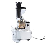 Denash 500 -W -Kaltpresse Slow Juicer Machine mit Dual Rutschen Design Hoher Saft Silber für Ein Gesundes Leben Ergeben