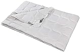 franknatur Bettdecke Sommer Wild-Seide Bio Baumwolle KBA Natur Nika 155x220
