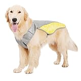 JOINPAYA 1Pc Haustier Kühlweste Welpengeschirr Kleines Kühlkissen Für Kühlwesten Hot Dog Cooling Keep Cooling Dog Leichte Hundejacke Wag Atmungsaktive Hunde Kühler Hundewesten