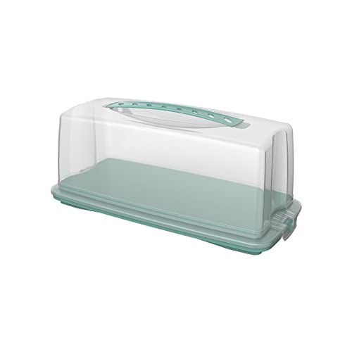 Rotho Fresh Kuchenbehälter mit Haube und Tragegriff, lebensmittelechter Kunststoff (PP) BPA-frei, türkis/transparent, (36 x 16,5 x 16,5 cm)