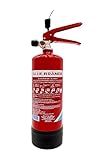 Firexo Kleiner Feuerlöscher (2 Liter) – alle Arten von Feuer – Mehrzweck-Feuerlöscher für zuhause, Küche, Grill, Zuhause und Büro