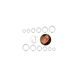 CASSIECA 12Pcs 16G Edelstahl Piercing Nasen für Damen Mädchen Nase Ringe Piercing Hoop Lippe Septum Ohr Piercing Körperschmuck 6-16MM