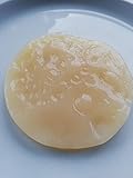 Jun Pilz, Scoby, Teepilz, Champagner des Kombucha