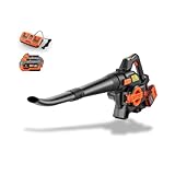 FUXTEC 40 Volt 2in1 Akku-Laubbläser/-Sauger Set FX-E2LBS-SET, leistungsstarker Laubhäcksler inkl.Akku und Ladegerät, Saugleistung 685.1m³/h, ergonomischer Handgriff, Geschwindigkeitsregulierung