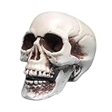 Totenkopf-Modell, menschlicher Totenkopf, Skelett-Statue, Modell des menschlichen Schädels, Halloween-Dekoration, Schädelkopf aus Kunststoff, Skelett, Modell für gruselige Partydekoration