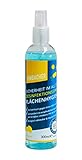 Rimbacher Desinfektionsspray für Flachen 100ml I Desinfektion von Oberflächen I Spray gegen Bakterien, Pilze & Viren I ergiebiges & vielseitiges Desinfektionsmittel mit Zitrusduft