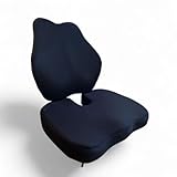 inphysio - 2er Set: Sitzkissen & Rückenkissen Ergonomisch - Stuhlkissen - Lendenkissen - für Schreibtisch, Home Office, Büro - Unterstützung für Wirbelsäule - 45x41x10,5 cm / 45x35x7 cm