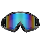 Motorradbrille, winddicht, ATV, Offroad-Fahrrad, Brille für Herren und Damen, Dirtbike, Reiten, Radfahren, Skifahren, Snowboardsport, Outdoor-Brille, Sport, Hundehupe, Holster (Schwarz, Einheitsgröße)