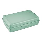 keeeper Frischhaltedose mit Klickverschluss, 30 x 20 x 8,5 cm, 3,75 l, Luca Maxi, Nordic Green