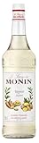 Monin Sirup INGWER (1 x 1,0l)