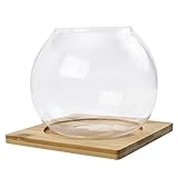 TOYANDONA Micro Landscape Vase Hochwertigem Rund mit Natürlichem Bambusuntersetzer Stabiles Ökosystem für DIY Moos und Pflanzenarrangements für Wohn und Arbeitszimmerdekoration