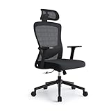 Eucladoceros Bürostuhl Ergonomisch Schreibtischstuhl mit Verstellbarer Lendenwirbelstütze, 2D-Kopfstütze und Armlehne,Ergonomischer Bürostuhl mit 120° Wippfunktion,Drehstuhl, Bürostuhle 150kg,Schwarz