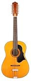 Framus Vintage Hootenanny 12-String Tinted Nitro