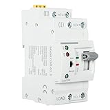 DEWIN Transferschalter, Automatischer Transferschalter G2R DIN-Schiene ATS Dual Power Automatischer Transferschalter Elektrische Wahlschalter 2P 63A 220V