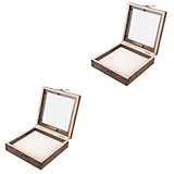 Luxshiny 2 Sätze Muster Vitrine groß Insekt Exemplare Motte Schmetterling getrocknet Pin Vitrine Probenrahmen Vintage Mustervitrine Vitrine für Schmetterlinge hölzern