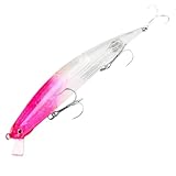 Uxsjakjsd Schwimmender Wobbler Fischerei Köder Salzwasser Jerkbait 175 Mm/27g 175 Mm/27g Wobbler Fischerei Köder B