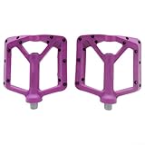 Fahrradpedale aus Nylon mit zwei Kugellagern und rutschfesten Funktionen für Sicherheit (Puple)