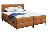 Mirjan24 Boxspringbett Briheg II mit 2 Bettkasten, Bonell-Matratze und Topperr, Continentalbett, Polsterbett, Amerikanisches Bett, Ehebett, gepolstertes Kopfteil (Coral 35, 160 x 200 cm)