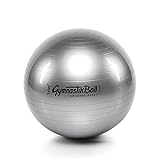 Original Pezzi Ball STANDARD 65 cm silber Gymnastikball Sitzball Training