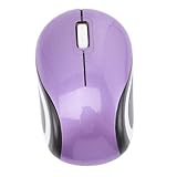 HOLIDYOYO Kabellose Computermaus mit USB Empfänger Ergonomisch Leise Bedienung Kompakt und Tragbar Geeignet für Laptop PC Büro und Home Office Stilvolles Design in Silber
