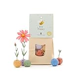 8 Wildblumen-Saatkugeln als kreatives Geschenk | Samenbomben mit Wildblumen-Saatgut | Perfekte Geschenkidee für Geburtstage, als Dankeschön, als Aufmunterungsgeschenk und als Mutmacher