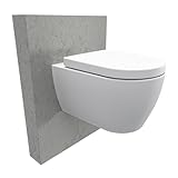 Spülrandloses Wand-WC NT2038 Weiß verkürzte Version Ideal für Gäste WCs mit SoftClose-Deckel (Absenkautomatik), Toilette aus Sanitärkeramik mit abnehmbaren WC-Sitz, Tiefspül-WC mit Standard Deckel…