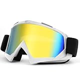 HOTUT Motorradbrille, UV400 Motocross Brille, Mtb Brille Dirt Bike ATV Crossbrille Anti-Scratch, Winddichte Staubdichte Motorradbrillen für Herren Damen Jugend Fit ÜBer Brille