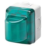 GEWISS - GW27416DY Warnleuchte, 15 W, 230 V, grüner Diffusor, IP55, Grau RAL 7035