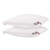 Meisterhome® Premium Daunenkissen - Daunen Federkissen 50% Daunen 50% Federn Baumwolle - Maße 80x80 cm (2, Platin 2000g)