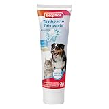 BEAPHAR - Zahnpasta Für Hunde Und Katzen - Schützt vor Plaque Und Zahnstein - Mit Leber-Geschmack - Ohne Fluoride - 100 g