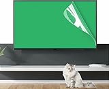 RAGOPILEN TV-Bildschirmschutzfolie, TV-Displayschutzfolie, Blaulicht-Blockierung, blendfreie PET-Materialfolie for 32-75 Zoll Fernseher(75in(1645x931mm))