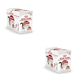 Royal Canin Instinctive Jelly | Doppelpack | 2 x 12 x 85 g | Nassfutter in Gelee für ausgewachsene Katzen | Zur Unterstützung der Harnwege und des Gewichts