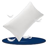 AiAngu Daunenkissen Flauschig 40x80 1er - 3-Kammer Design für Optimalen Nackenstütz Kopfkissen, Weiche & Atmungsaktive 100% Baumwollbezug, Bettkissen Perfekt für Allergiker und Kinder